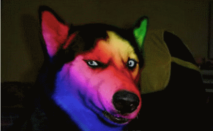 640_002.gif